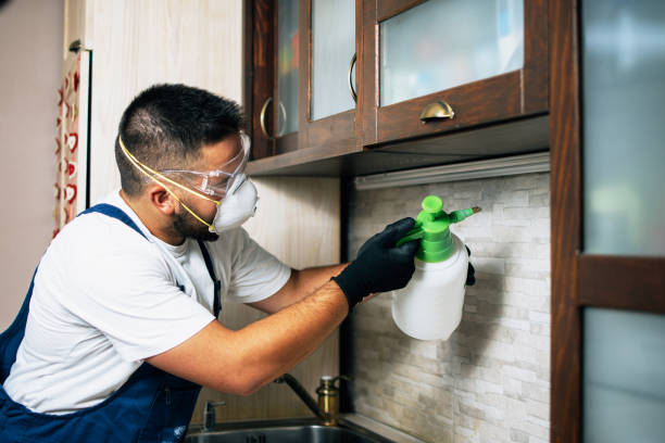 Best Best Pest Control Companies  in Pittsboro, NC