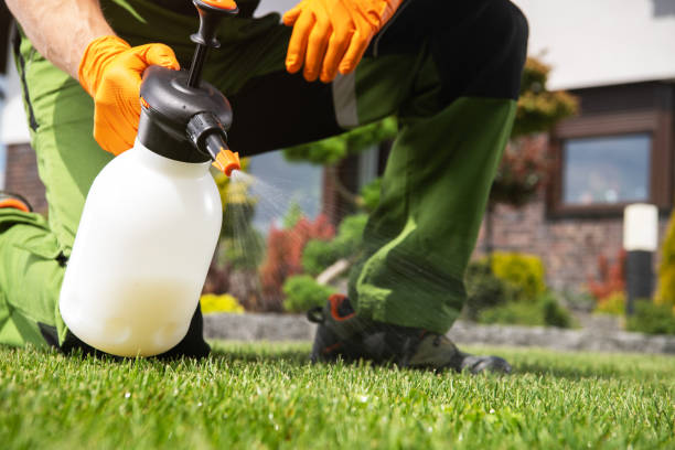 Best Affordable Pest Control Services  in Pittsboro, NC