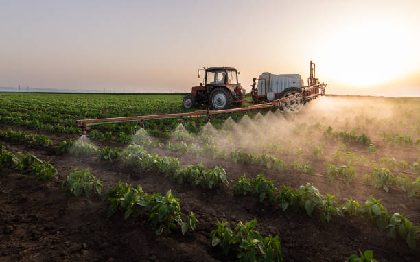 Best Pest Prevention Services  in Pittsboro, NC