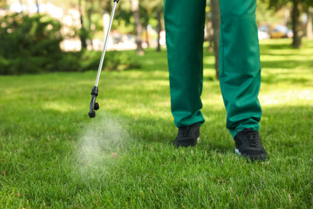Best Wasp Removal Services  in Pittsboro, NC