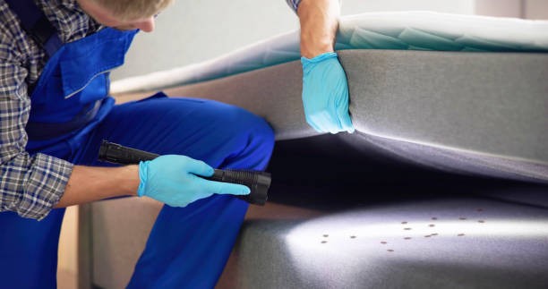 Best Pest Control for Restaurants  in Pittsboro, NC