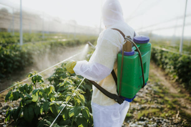 Best Pest Control Near Me in Pittsboro, NC